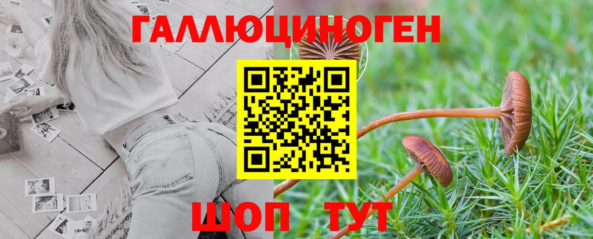 Сергиев Посад  Галлюциногенные грибы Magic Shrooms  Вход с VPN 